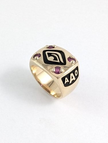 14KY Optometry Signet Ring With Rubies